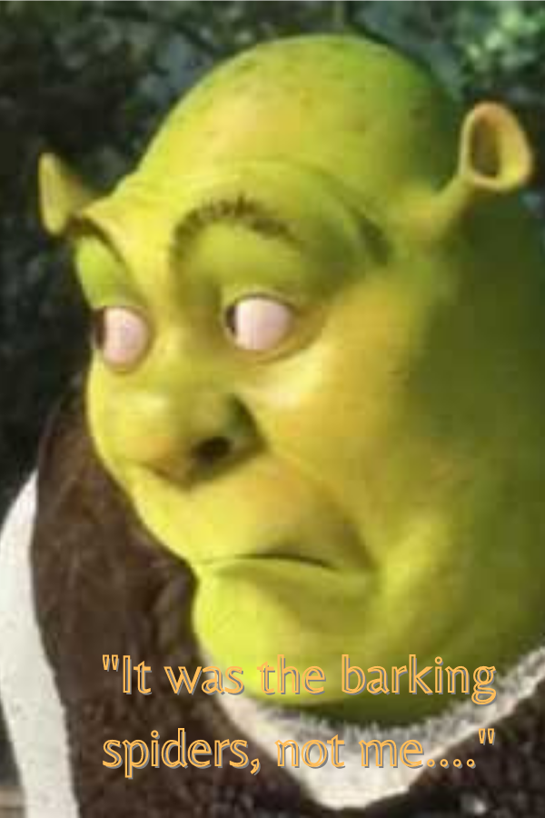 Shrek Meme PNG HD